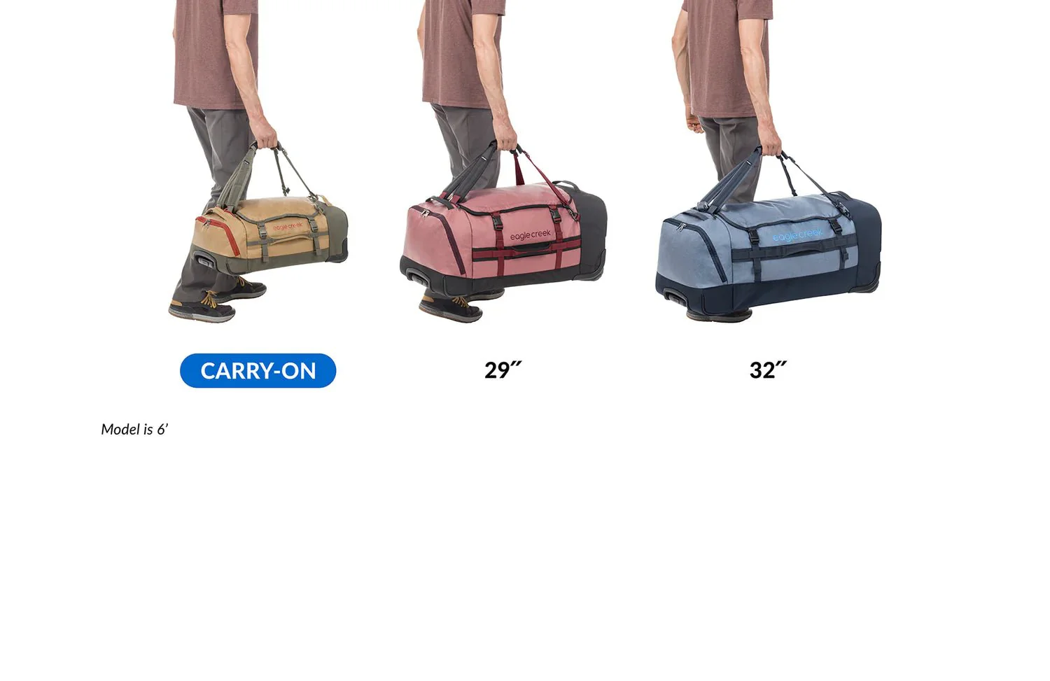 Thumbnail 15
